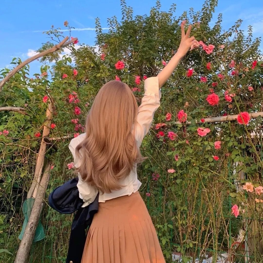 芭啦芭啦樱之花